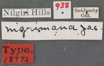 Media type: image; Entomology 18442   Aspect: labels